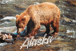 Animaux - Ours - Ours Brun - Alaska - Peche Au Saumon - Bear - CPM - Voir Scans Recto-Verso - Bären