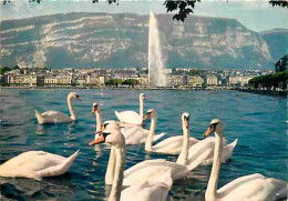Animaux - Oiseaux - Cygnes - Genève - Vue Sur La Ville Et Le Salèvre - CPM - Voir Scans Recto-Verso - Birds