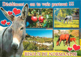 Animaux - Anes - Normandie - Multivues - Vaches - Pommes - Chevaux - Poulain - CPM - Voir Scans Recto-Verso - Donkeys