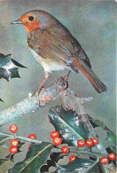 Animaux - Oiseaux - Robin - CPM - Voir Scans Recto-Verso - Birds