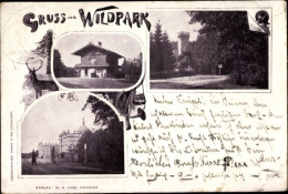 CPA Wildpark Potsdam In Brandenburg, Häuser, Turm - Sonstige & Ohne Zuordnung