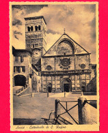 ITALIA - UMBRIA -  Assisi (Perugia) - Cattedrale Di S. Rufino - Cartolina Non Viaggiata - Andere & Zonder Classificatie
