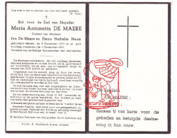 DP Maria Antonetta De Maere / Nauts ° Belsele Sint-Niklaas 1873 † 1951 - Images Religieuses