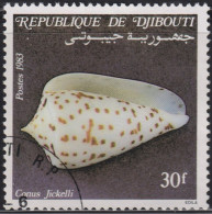 1983 Dschibuti ⵙ Mi:DJ 382, Sn:DJ 564, Yt:DJ 570, Sg:DJ 894, Jickeli's Cone (Conus Jickelli) - Djibouti (1977-...)