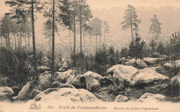 FRANCE - Forêt De Fontainebleau - Entrée Du Désert D'Apremont - Forêt - Paysage - Carte Postale Ancienne - Fontainebleau