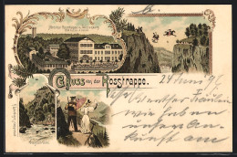 Lithographie Thale, Hotel Zur Rosstrappe, Winzenburg, Teufelsbrücke, Wanderer Und Seine Frau, Stürzender Reiter  - Thale