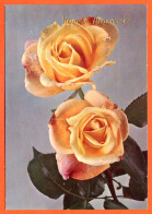 CP Heureux Anniversaire Fleurs Fleur Série 37844 6  Roses Carte Vierge TBE - Fleurs