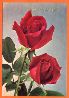 CP Heureux Anniversaire Fleurs Fleur Série 37844  2   Roses Carte Vierge TBE - Fleurs