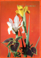 CP Heureux Anniversaire Fleurs Fleur Série 37720 4  Carte Vierge TBE - Fleurs