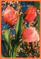 CP Heureux Anniversaire Fleurs Fleur Série 290 7 Carte Vierge TBE - Fleurs