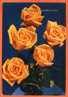 CP Heureux Anniversaire Fleurs Fleur Série 290 6  Roses Carte Vierge TBE - Fleurs