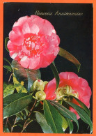 CP Heureux Anniversaire Fleurs Fleur Série 290 3 Carte Vierge TBE - Fleurs