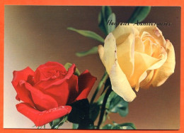 CP Heureux Anniversaire Fleurs Fleur Série 197 8 Roses Carte Vierge TBE - Fleurs