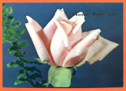 CP Heureux Anniversaire Fleurs Fleur Série 197 9  Roses Carte Vierge TBE - Fleurs