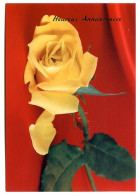 CP Heureux Anniversaire Fleurs Fleur Série 197 12  Roses Carte Vierge TBE - Flowers
