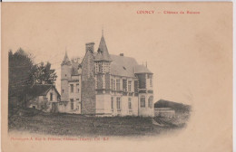 02 . COINCY . LE CHATEAU DU BUISSON - Other & Unclassified