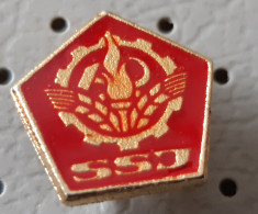 SSJ Confederation Of Free Trade Unions Of Yugoslavia Pin - Amministrazioni