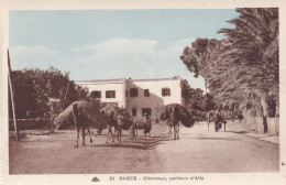 Gabès, Chameaux, Porteurs D’Aifa - Tunisia