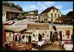 AK Bischborner Hof, Gasthaus Spessartschänke Bischborner-Hof Von Lothar Englert  - Hof