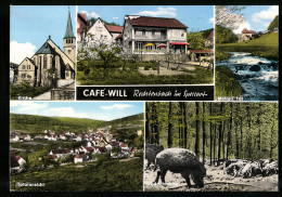 AK Rechtenbach Im Spessart, Café Von Ludwig Will, Mühle I. Tal, Wildschwein Im Wald  - Other & Unclassified