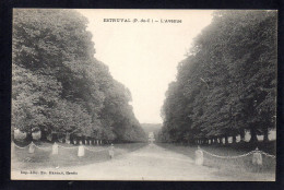 62 ESTRUVAL - Le Chateau - L'Avenue - Other & Unclassified