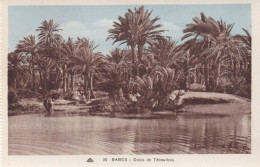 Gabès, Oasis De Téboulbou - Tunisia