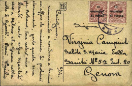 1919-Trento E Trieste Coppia 10c.su 10c.Leoni Con Un Esemplare Che Presenta Vari - Trentino & Triest