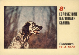1974-Piacenza 8 Esposizione Nazionale Canina Su Cartolina A Tariffa Ridotta (num - Stamped Stationery