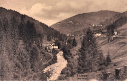 1915-Alto Cadore Il Comelico (Fot.Mariani) - Belluno