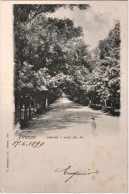 1899-Firenze Cascine Viale Del Re, Viaggiata - Firenze (Florence)