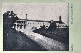 1918-Bologna Istituto Ortopedico Rizzoli, Viaggiata - Bologna