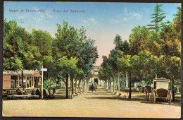 1917-"Montecatini,Viale Del Tettuccio" - Pistoia