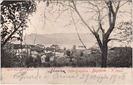 1905-Lago Maggiore Dagnente Il Paese, Viaggiata - Novara