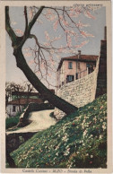 1930circa-Castelli Cusiani ALZO Strada Di Pella, Non Viaggiata - Novara