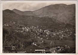 1941-Rubiana (Torino) Panorama Viaggiata - Otros & Sin Clasificación