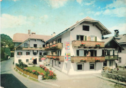 AUTRICHE - Sankt Gilgen - Pension Ettlmayr - Carte Postale - St. Gilgen