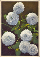 1938-"Dahlia Var.Pompondahlie" Annullo Meccanico Lotteria Automobilistica Di Tri - Flowers