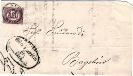1876-Servizio 0,20c. Su Piego Con Testo,al Verso Annullo D'arrivo Bagolino Bresc - Poststempel