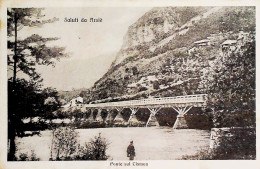 1921-Saluti Da Arsie' Ponte Sul Cismon, Viaggiata - Belluno