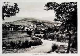1950-Firenzuola Panorama Cartolina Viaggiata - Firenze (Florence)