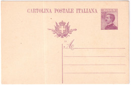 1921-cartolina Postale Michetti 25c.viola Cat.Filagrano C 49 - Interi Postali