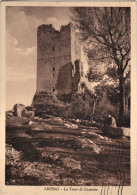 1962-Frosinone Arpino La Torre Di Cicerone,viaggiata - Frosinone