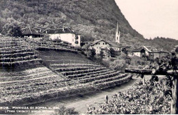 1930circa-"Pianizza Di Sopra (Posta Caldaro)presso Bolzano" - Bolzano (Bozen)