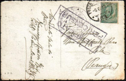 1918-cartolina Affrancata 5c.Leoni Con Annullo Di Posta Militare 134, Grande Tim - Guerre 1914-18