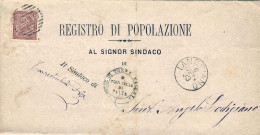 1882-stampato Affrancato 2c.Cifra Annullo A Linee Cerchio Grande "Landriano"(pt. - Marcophilia