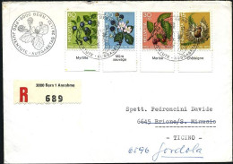 1973-Svizzera S.4v."Frutti Di Bosco"con Bandeletta Dei Nomi Su Raccomandata Fdc  - FDC