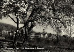 DRUSACCO Di VICO CANAVESE, Torino - Panorama - VG - #078 - Sonstige & Ohne Zuordnung