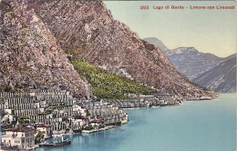 1930ca.-"Limone Brescia (lago Di Garda) Con Limoneti"non Viaggiata - Brescia