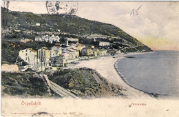 1906-Ospedaletti Panorama,diretta A Monte Carlo Affrancata 5c. Floreale Annullo  - Imperia