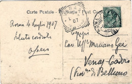 1907-cartolina Roma Dal Pincio Affrancata 5c. Floreale Annullo Roma-Milano In Ar - Autres & Non Classés